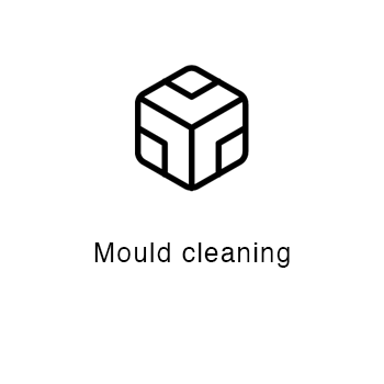 mould cleaning